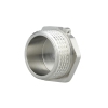 Заглушка Thermo Alliance Forte 1" НР SF35325 купить в САНН Одесса