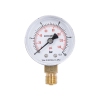 Манометр Thermo Alliance Standart 10 бар 1/4", нижнее подключение SD17010B купить в САНН Одесса