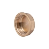Заглушка Thermo Alliance Standart 1 1/4" ВР SD40232 купить в САНН Одесса
