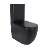Унитаз напольный Qtap Robin Ultra Quiet безободковый с сиденьем Soft-Close MATT BLACK QT13226083AMB купить в САНН Одесса