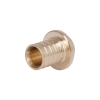 Заглушка натяжная Icma №1042 d20х2,8 851042GW05 купить в САНН Одесса
