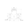 Обратный клапан Thermo Alliance Standart 3/4" SD242W20 купить в САНН Одесса, изображение 2