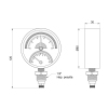 Термоманометр Thermo Alliance Standart 80 мм 1/2", нижнее подключение SD17210B купить в САНН Одесса, изображение 2