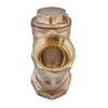 Фильтр грубой очистки с ушком (латунь) Waterpro WP200-20 - 3/4" (WP3305) купить в САНН Одесса