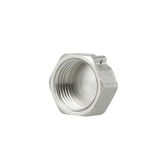 Заглушка Thermo Alliance Forte 1/2" ВР SF35215 купить в САНН Одесса