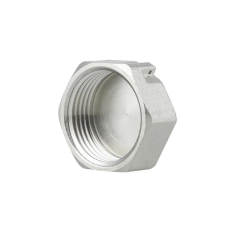 Заглушка Thermo Alliance Forte 1" ВР SF35225 купить в САНН Одесса