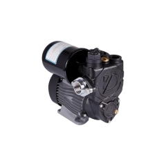Насосная станция Thermo Alliance PZB750A 0,75 кВт купить в САНН Одесса