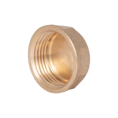 Заглушка Thermo Alliance Standart 1" ВР SD40225 купить в САНН Одесса