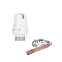 Термоголовка Thermo Alliance Standart М30х1,5 (20-50℃) с выносным датчиком TAS34150 купить в САНН Одесса