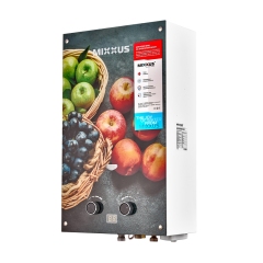 Газовая колонка MIXXUS GWH-0310 BASIC GLASS дымоходная 10 л/мин (панель из стекла с рисунком) (WH0024) купить в САНН Одесса