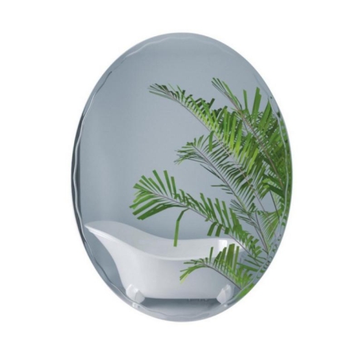 Зеркало Lidz Latwa 140.07.11 (1) 650х800 настенное овальное с декором LD78LA6580 купить в САНН Одесса