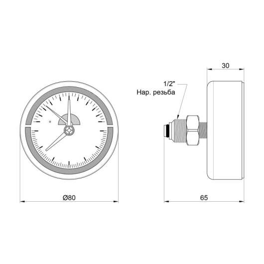 Термоманометр Thermo Alliance Standart 80 мм 1/2", заднее подключение SD17310B купить в САНН Одесса, изображение 2