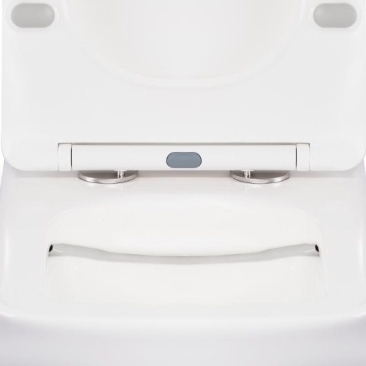Унитаз-компакт Qtap Tern безободковый с сиденьем Soft-close QT17222093ARW, изображение 15