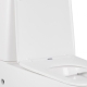 Унитаз-компакт Qtap Tern безободковый с сиденьем Soft-close QT17222093ARW, изображение 13